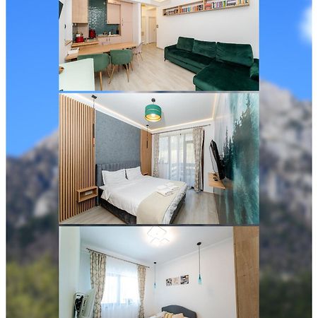 Cross Caraiman View 1 Apartment Busteni Luaran gambar